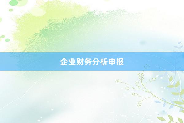 企业财务分析申报